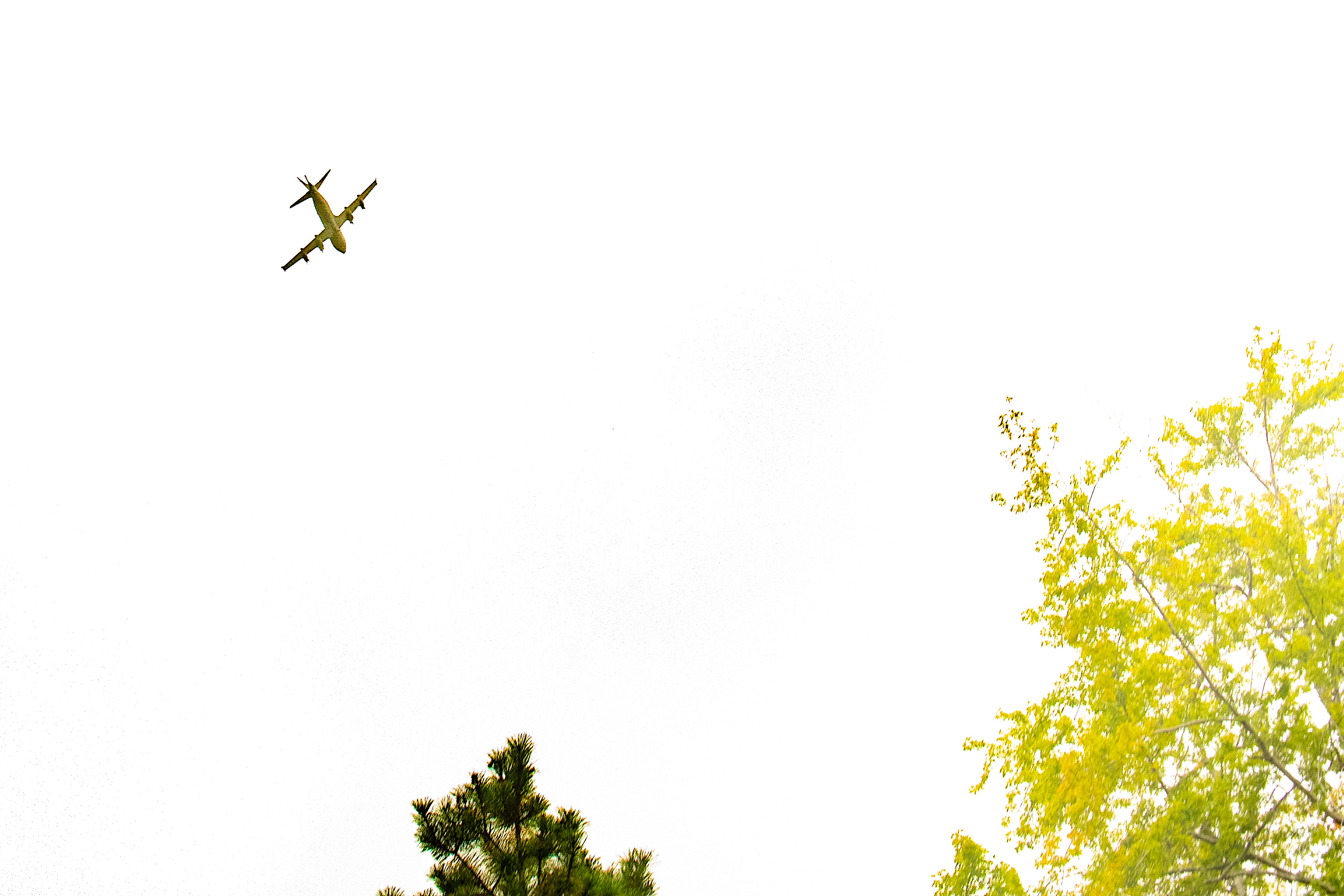 Un avion CP-140 Aurora de la 14e Escadre Greenwood survole la cérémonie de célébration de la vie du brigadier-général (à la retraite) Sheila Hellstrom à Lunenburg, en Nouvelle-Écosse, le 16 octobre 2021. Photo : Caporal Olivia Mainville, Services d’imagerie de la 12e Escadre